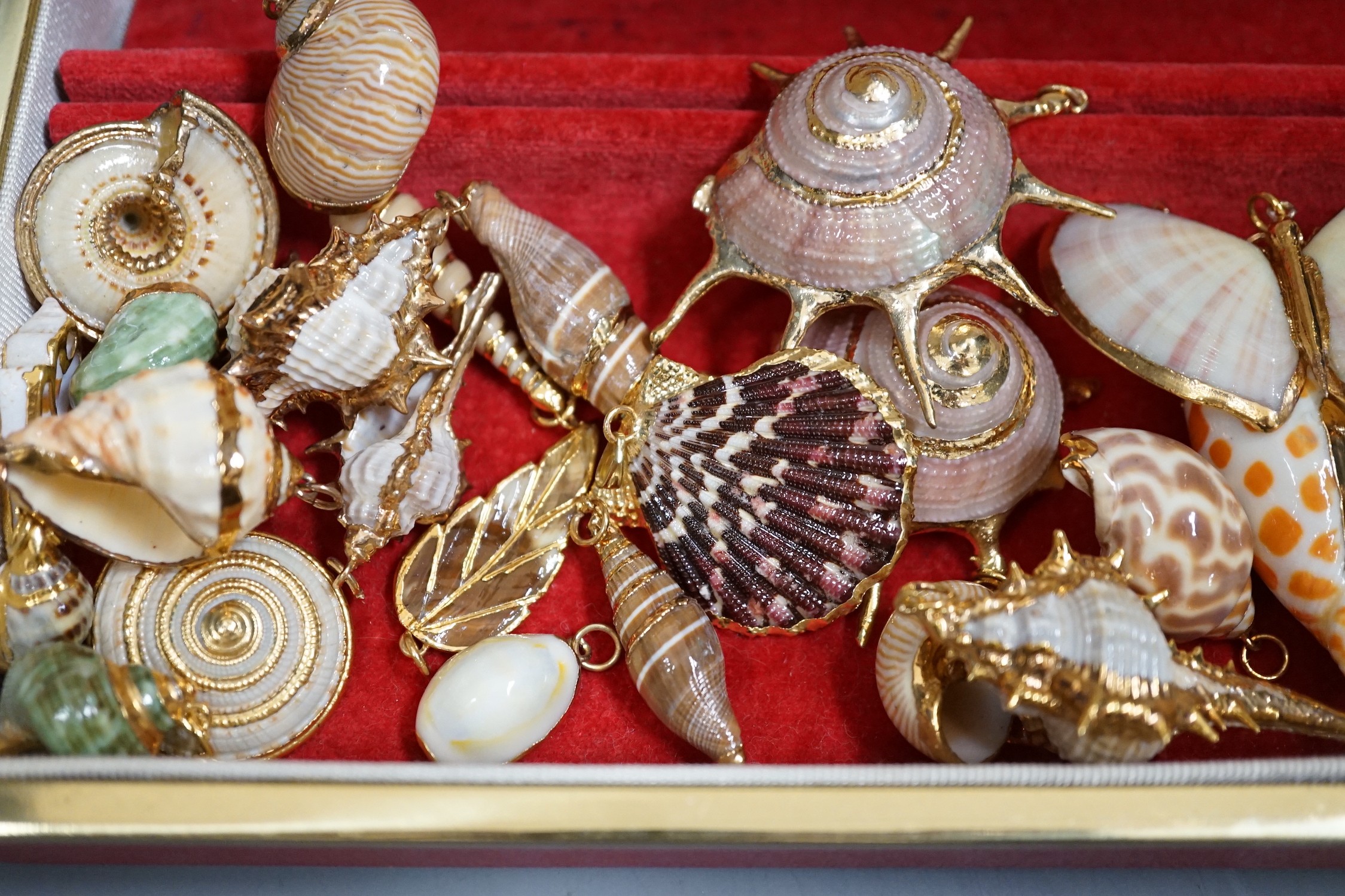 A small group of assorted gilt mounted sea shell pendants. largest 69mm.
